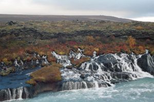At Hraunfossar groundwater flows out from the lava field joining the river 